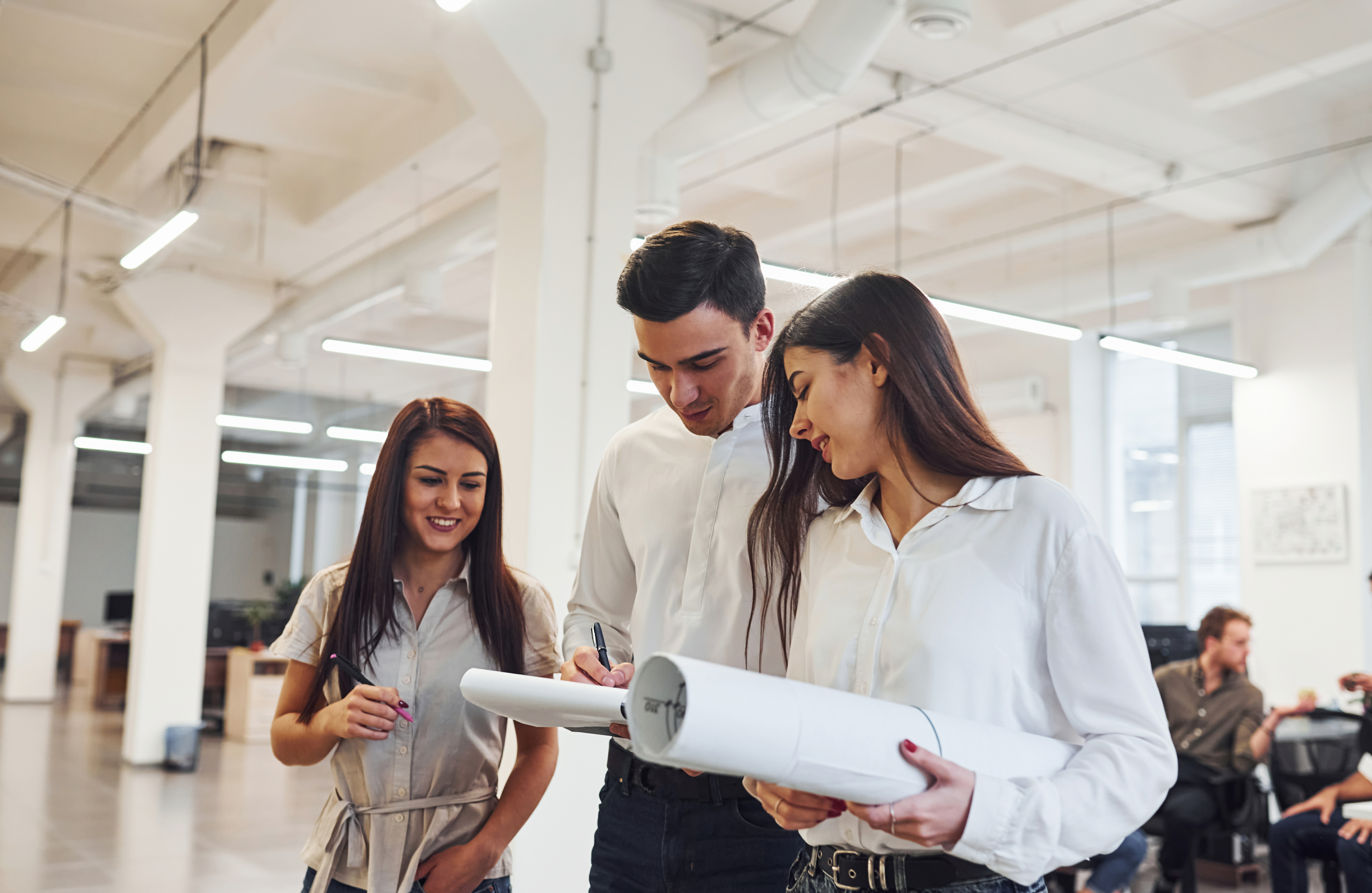Group of young employees talking and working at new project in the office